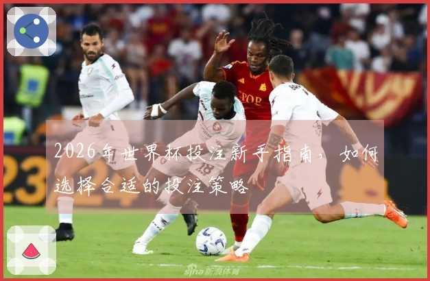 2026年世界杯投注新手指南，如何选择合适的投注策略
