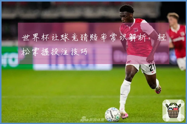 世界杯让球竞猜赔率常识解析，轻松掌握投注技巧