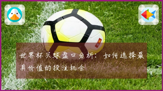 世界杯买球盘口分析：如何选择最具价值的投注机会