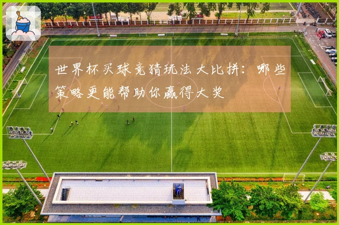 世界杯买球竞猜玩法大比拼：哪些策略更能帮助你赢得大奖