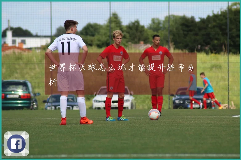 世界杯买球怎么玩才能提升胜率分析