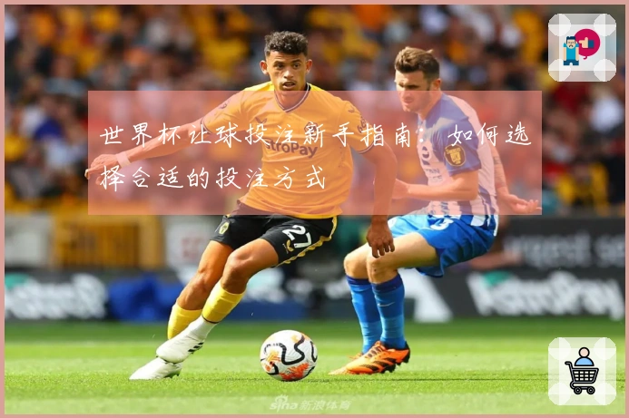 世界杯让球投注新手指南：如何选择合适的投注方式