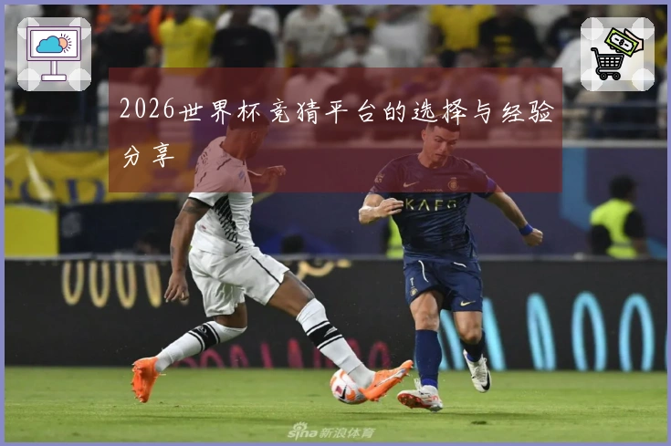 2026世界杯竞猜平台的选择与经验分享