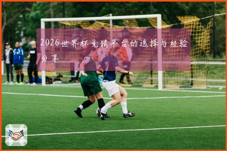 2026世界杯竞猜平台的选择与经验分享