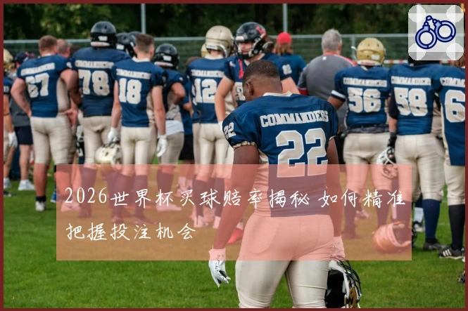 2026世界杯买球赔率揭秘 如何精准把握投注机会