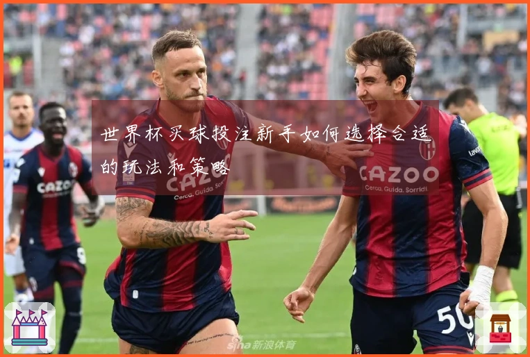 世界杯买球投注新手如何选择合适的玩法和策略
