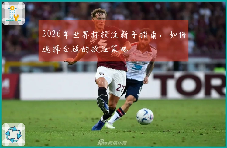 2026年世界杯投注新手指南，如何选择合适的投注策略